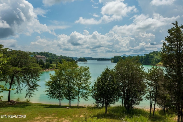 3819 Island View Rd, Sevierville, TN 37876 - photo 1