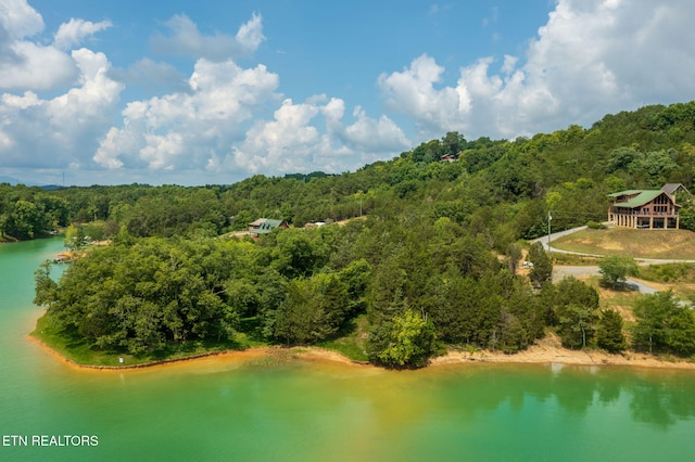 3819 Island View Rd, Sevierville, TN 37876 - photo 7