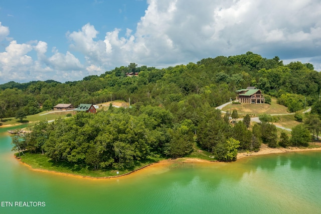 3819 Island View Rd, Sevierville, TN 37876 - photo 8