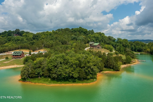 3819 Island View Rd, Sevierville, TN 37876 - photo 3