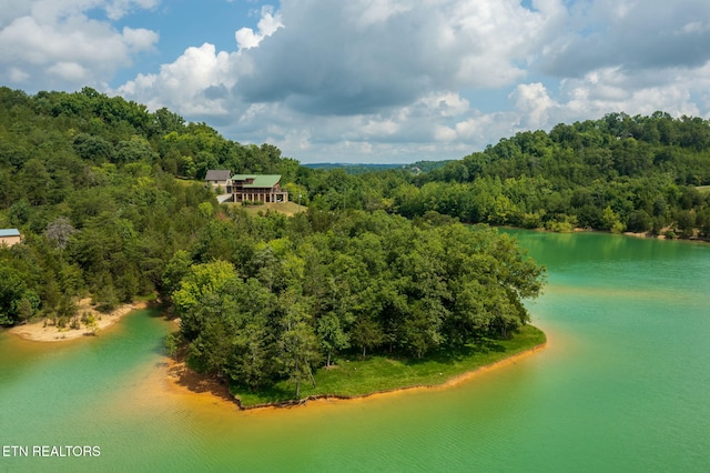 3819 Island View Rd, Sevierville, TN 37876 - photo 9