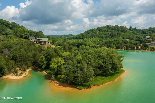 3819 Island View Rd, Sevierville, TN 37876 - photo 10