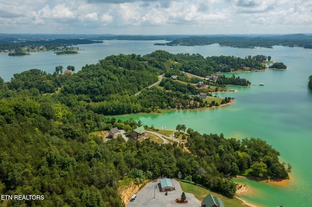 3819 Island View Rd, Sevierville, TN 37876 - photo 12