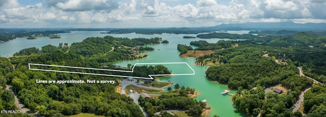3819 Island View Rd, Sevierville, TN 37876 - photo 6