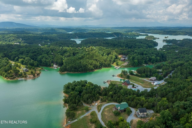 3819 Island View Rd, Sevierville, TN 37876 - photo 15