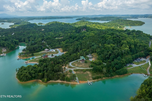 3819 Island View Rd, Sevierville, TN 37876 - photo 16