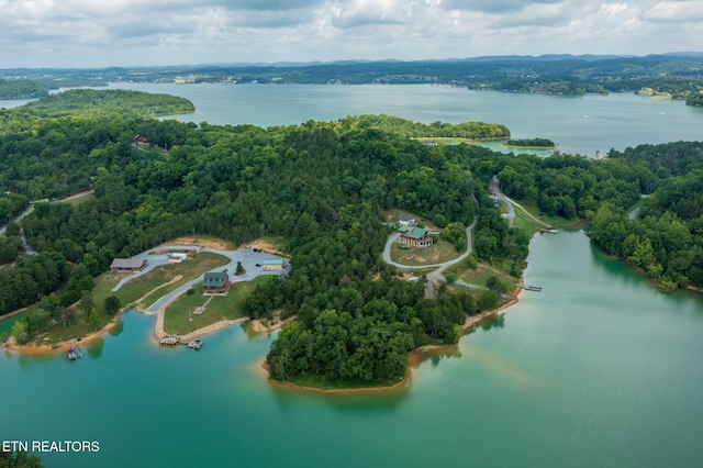 3819 Island View Rd, Sevierville, TN 37876 - photo 18