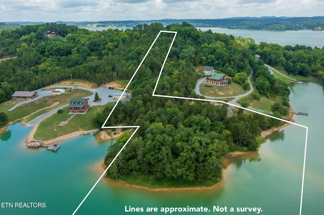 3819 Island View Rd, Sevierville, TN 37876 - photo 5