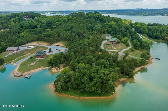 3819 Island View Rd, Sevierville, TN 37876 - photo 19