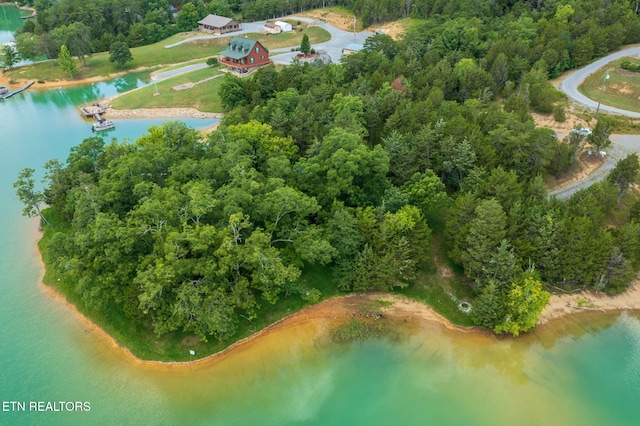 3819 Island View Rd, Sevierville, TN 37876 - photo 20