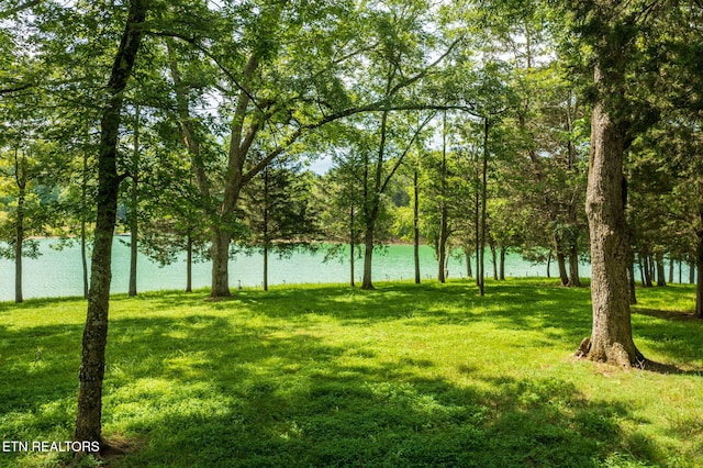 3819 Island View Rd, Sevierville, TN 37876 - photo 4