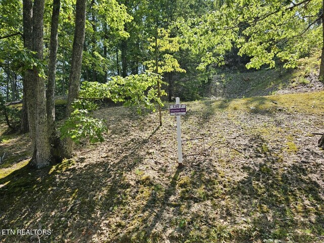 LOT7-AR Village Cir, Sevierville, TN 37862 - photo 5