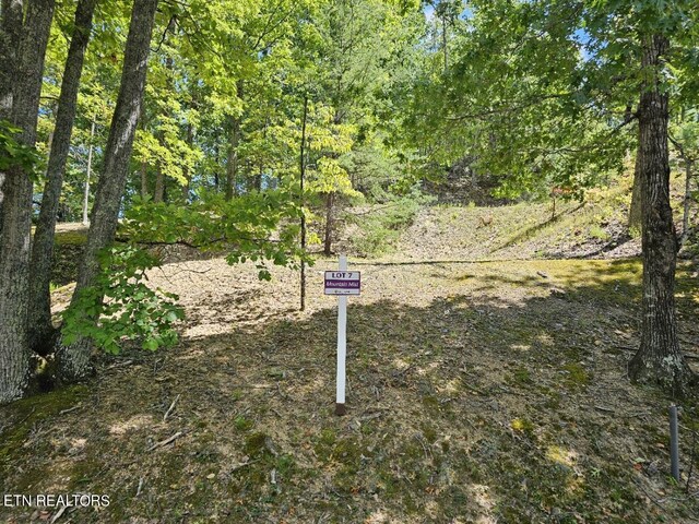 LOT7-AR Village Cir, Sevierville, TN 37862 - photo 4