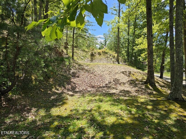 LOT7-AR Village Cir, Sevierville, TN 37862 - photo 3