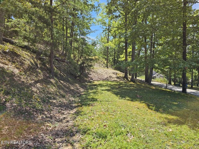 LOT7-AR Village Cir, Sevierville, TN 37862 - photo 2