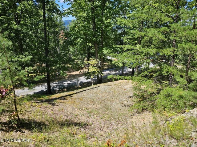 LOT7-AR Village Cir, Sevierville, TN 37862 - photo 1