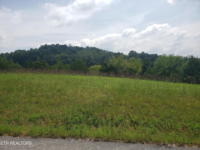 Larimar Ln, New Tazewell TN, 37825 land for sale