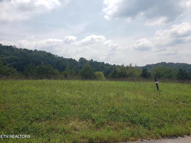 Listing photo 2 for Larimar Ln, New Tazewell TN 37825