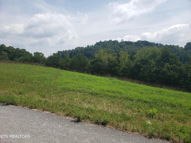 Listing photo 3 for Larimar Ln, New Tazewell TN 37825