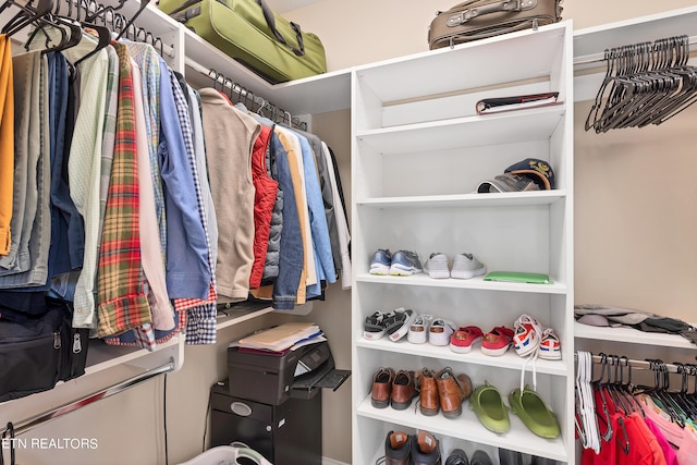 view of spacious closet