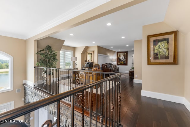 hallway featuring crown molding and dark wood-type flooring