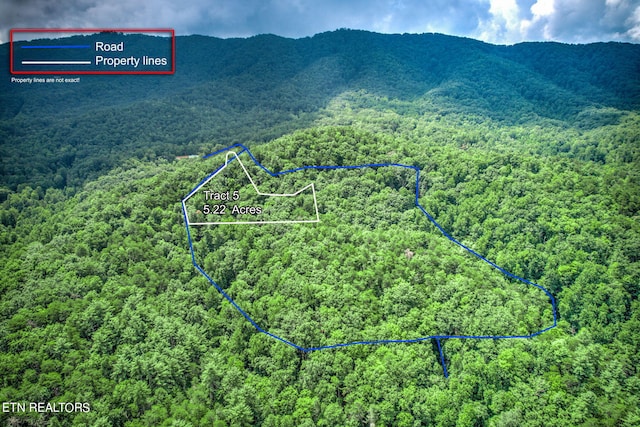 Listing photo 3 for Paint Horse Way, Sevierville TN 37876