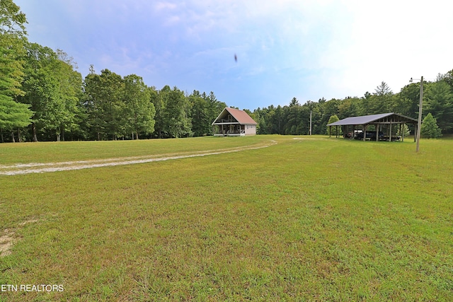 view of yard featuring a wooded view