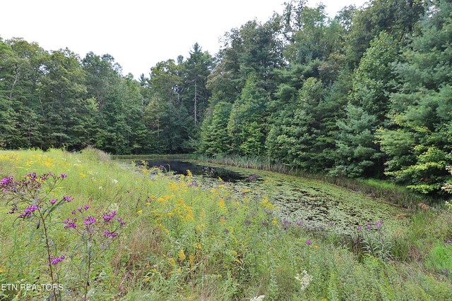 view of nature featuring a water view