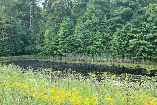 view of landscape with a water view