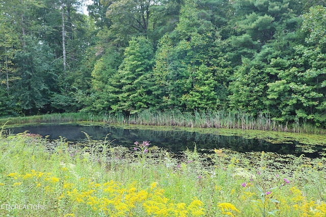 view of nature with a forest view and a water view