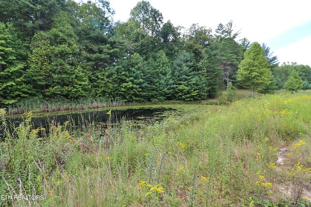 view of landscape with a water view