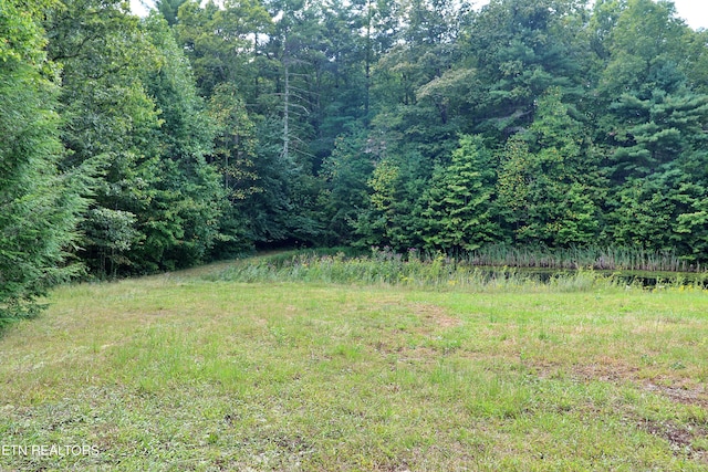 view of yard with a wooded view