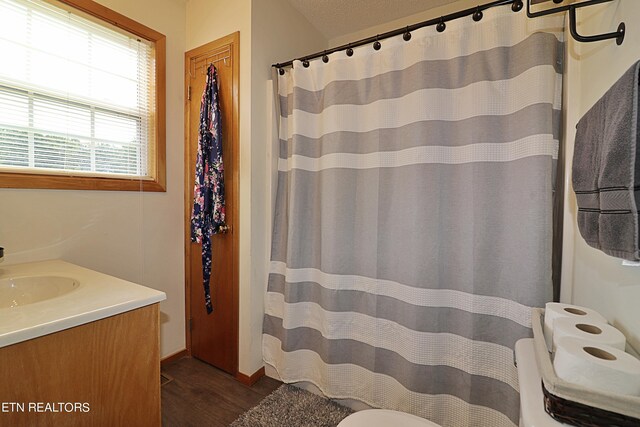 bathroom featuring vanity, toilet, and wood-type flooring