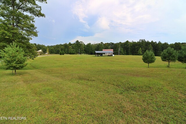 view of yard featuring a rural view