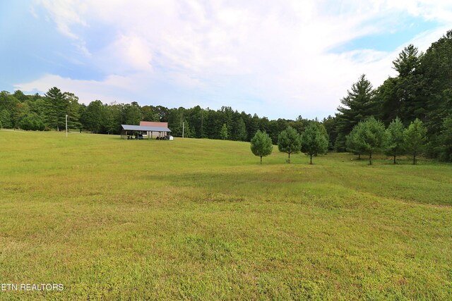 view of yard featuring a rural view