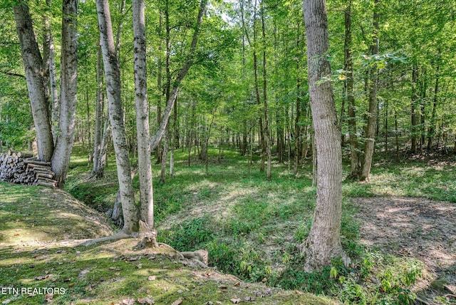 view of local wilderness