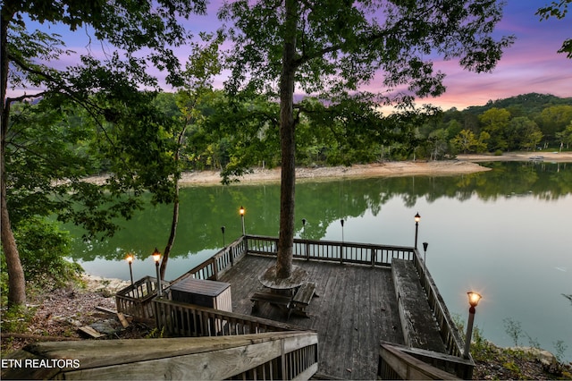 dock area featuring a water view