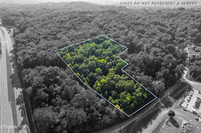 TBD Delozier Ln, Rockwood TN, 37854 land for sale