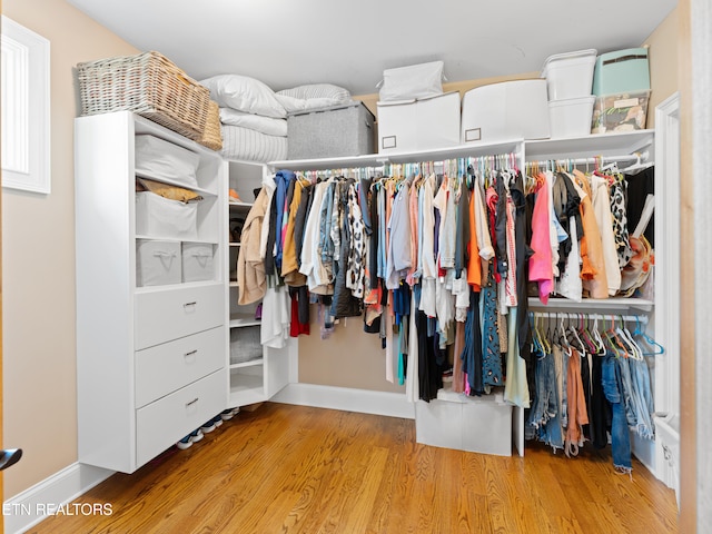 spacious closet featuring light hardwood / wood-style floors