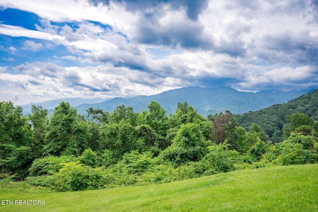 property view of mountains with a wooded view