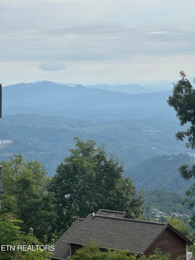 view of water feature featuring a mountain view