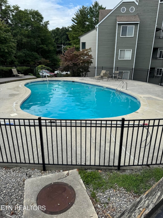 view of pool featuring a patio