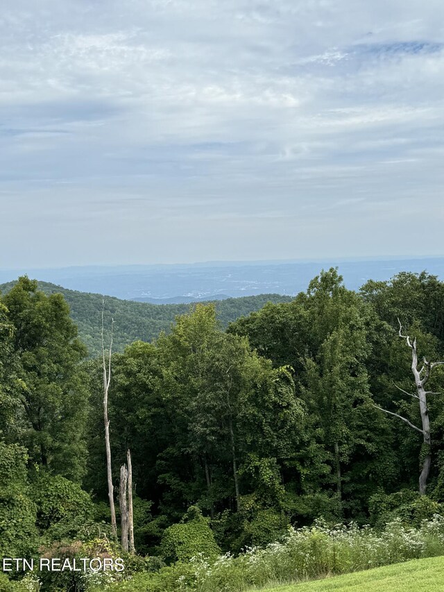 view of mountain feature