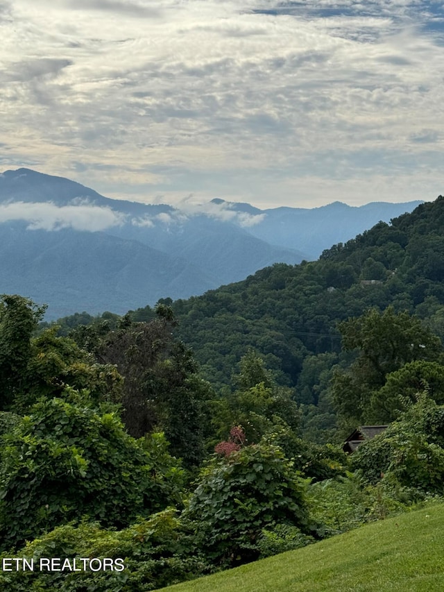 view of mountain feature