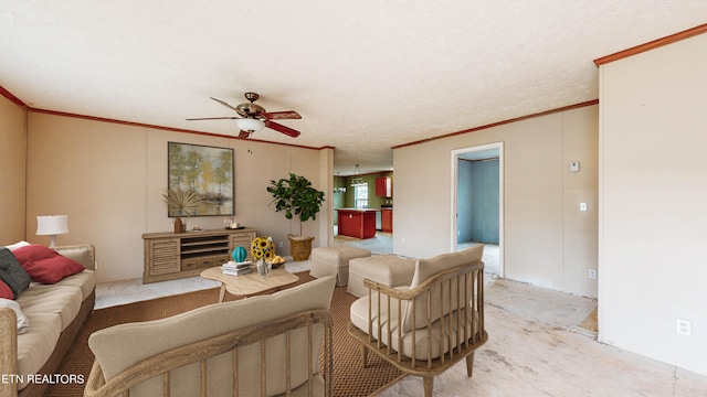 carpeted living room with ceiling fan, crown molding, and a textured ceiling