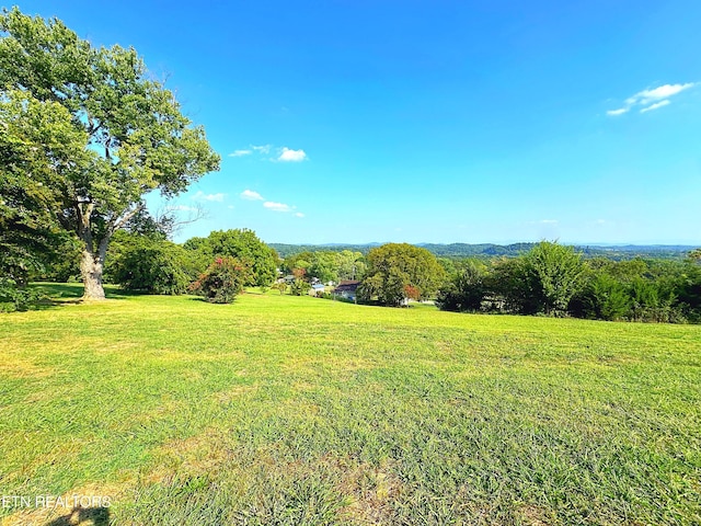 view of yard featuring a rural view