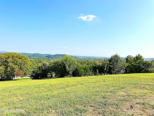 view of yard featuring a rural view