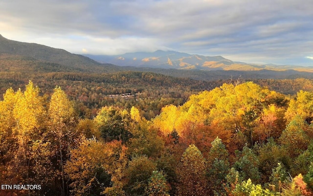 property view of mountains