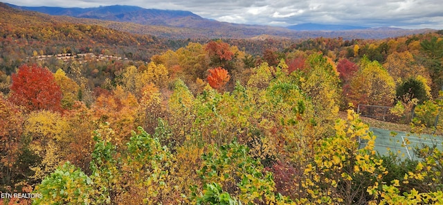 property view of mountains