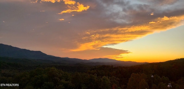 property view of mountains